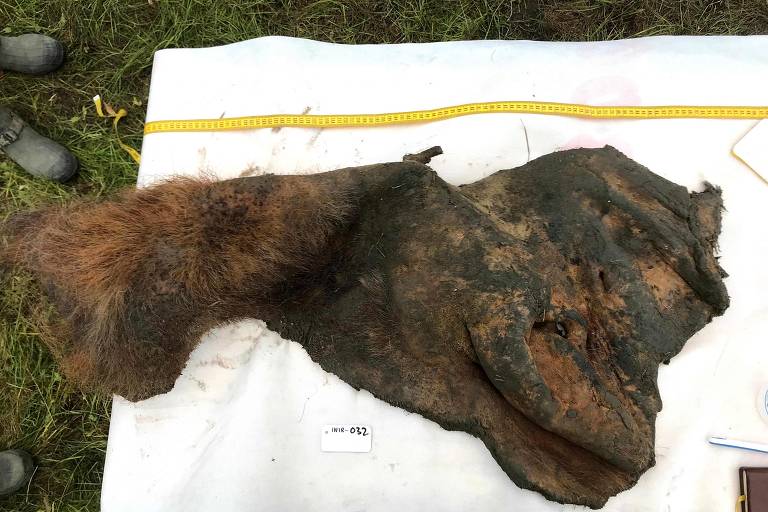 Pele mamute que pesquisadores estimam ter 52 mil anos; material foi encontrado na Sibéria