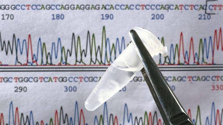 Ampola com líquido sendo segurada com uma pinça em frente a um papel com gráficos genéticos