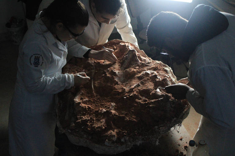 Três pessoas vestindo jalecos brancos estão examinando um grande fóssil de cor marrom. Elas parecem estar em um laboratório, com luzes focadas no fóssil. A pessoa à esquerda está usando óculos de proteção.

