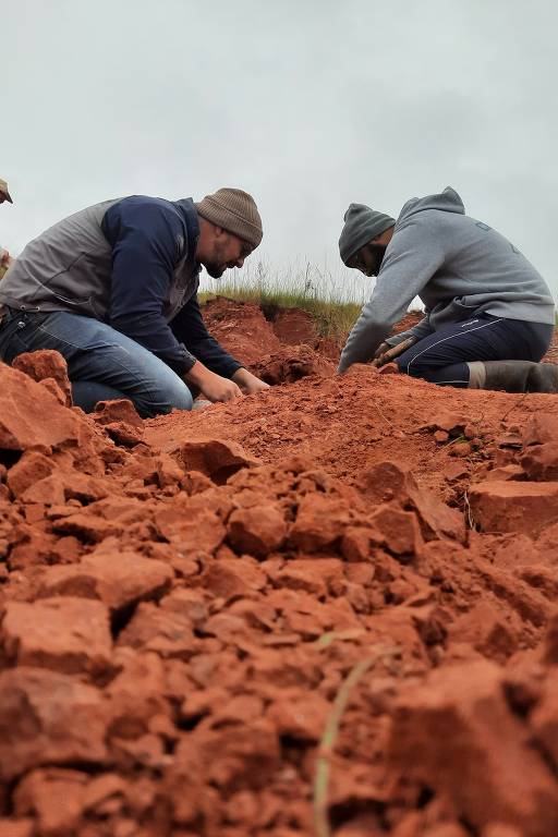 Fóssil de dinossauro é encontrado no Rio Grande do Sul após chuvas