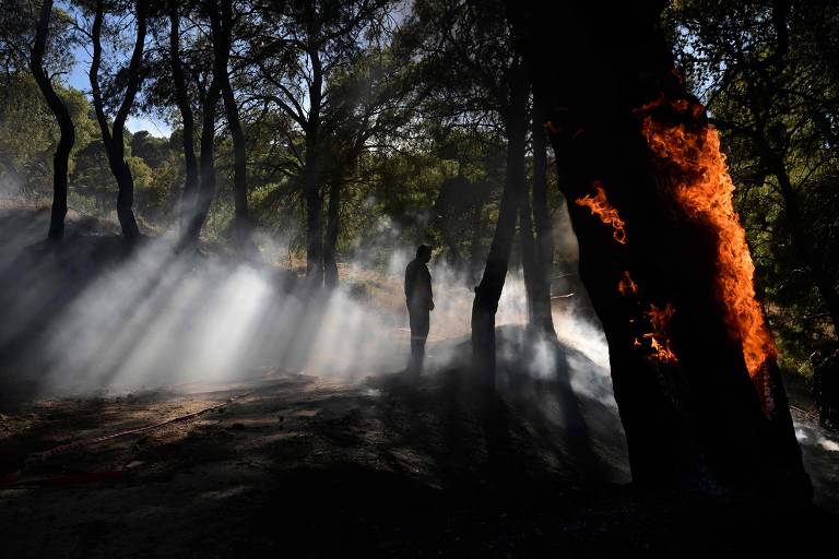 Bombeiro em floresta com fumaça; um tronco pega fogo perto dele