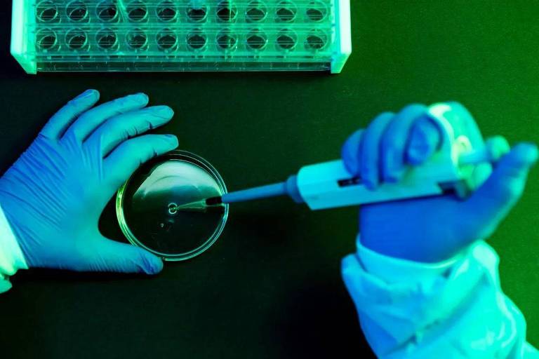 Mãos com luva manipulando amostra em laboratório