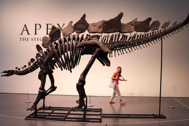 Fóssil de estegossauro bate recorde em leilão nos EUA