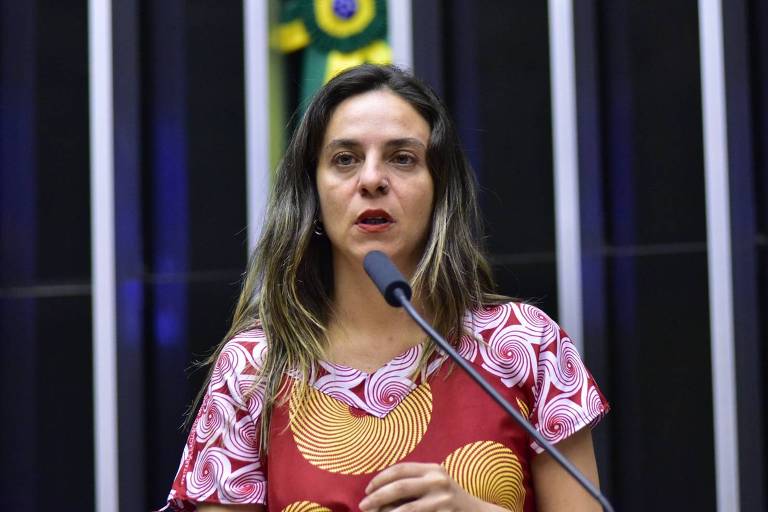 Imagem de uma mulher falando ao microfone em um ambiente formal. Ela está vestindo uma blusa colorida com padrões geométricos e tem cabelos longos e soltos. Ao fundo, há uma bandeira do Brasil parcialmente visível e um fundo escuro com linhas verticais claras.