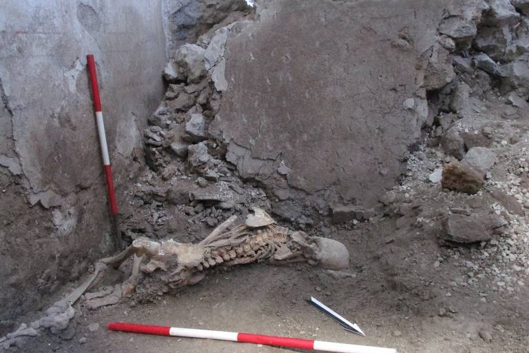 A imagem mostra um esqueleto humano parcialmente enterrado em um local de escavação arqueológica. Há duas hastes de medição com marcações vermelhas e brancas posicionadas ao lado do esqueleto, uma vertical e outra horizontal. O esqueleto está deitado de lado, próximo a uma parede de terra e pedras.