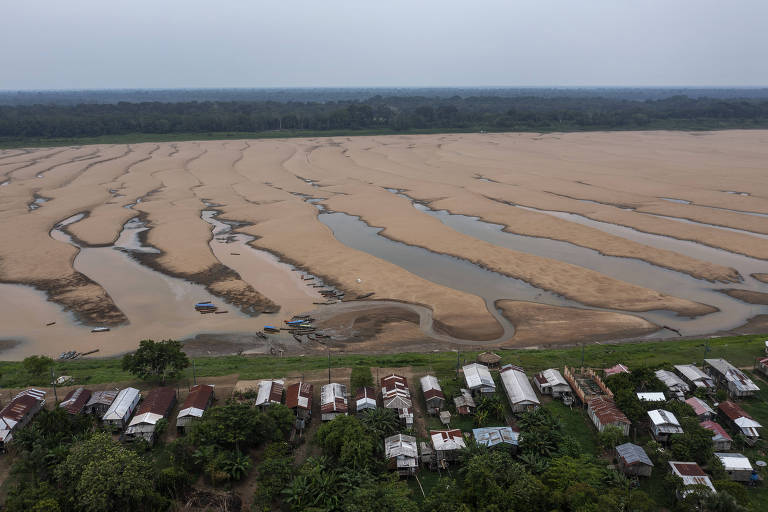 Megaestiagens podem isolar comunidades da amazônia, mostra novo estudo