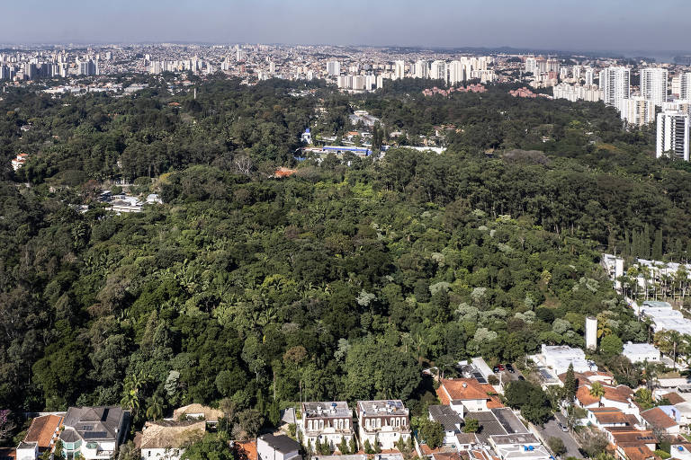 A imagem mostra uma vista aérea de uma área urbana com uma grande floresta no centro. A floresta é densa e verde, cercada por casas e edifícios. Ao fundo, é possível ver uma extensa área urbana com muitos prédios altos e construções. O céu está claro, com uma leve névoa no horizonte.