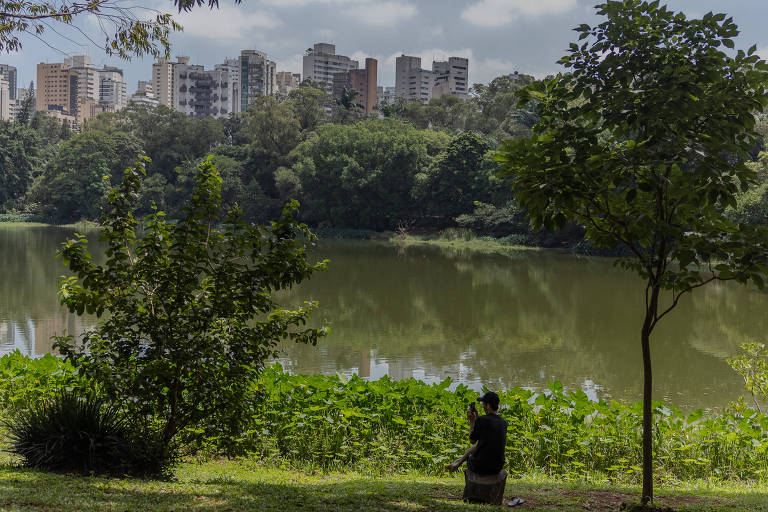 A imagem mostra um homem sentado na grama à beira de um lago em um parque. Ele está de costas para a câmera, olhando para o lago. Há árvores e vegetação ao redor do lago e, ao fundo, é possível ver uma linha de prédios altos. O céu está parcialmente nublado.
