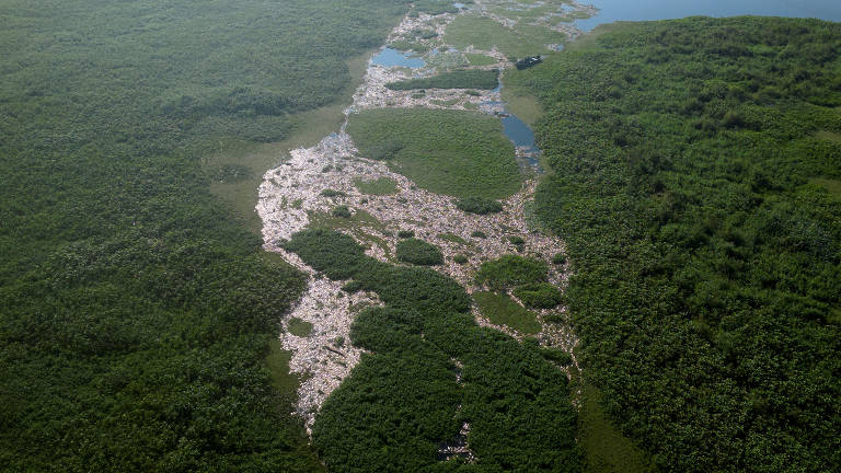 Poluição mata toneladas de peixes em 'mini Pantanal' em Piracicaba