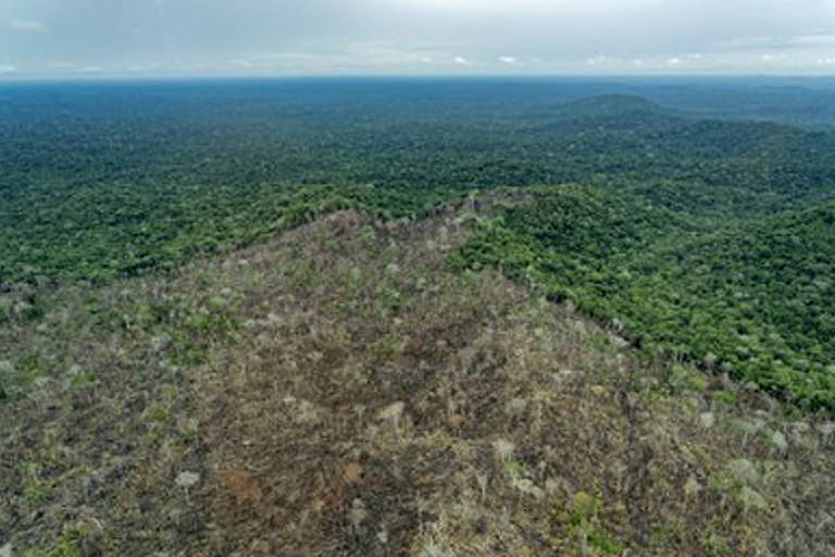 Vista de drone de local desmatado