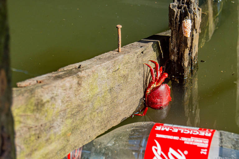 Nos dois primeiros anos, a empresa diz ter priorizado obras de revitalização de estações de tratamento e a expansão da rede de abastecimento de água, com investimentos acumulados de R$ 150 milhões
