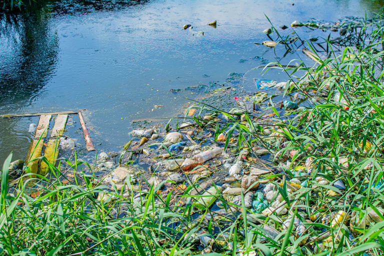 Três municípios do interior já estariam com o atendimento de água universalizado: Amapá, Calçoene e Pracuúba, ainda segundo a companhia.