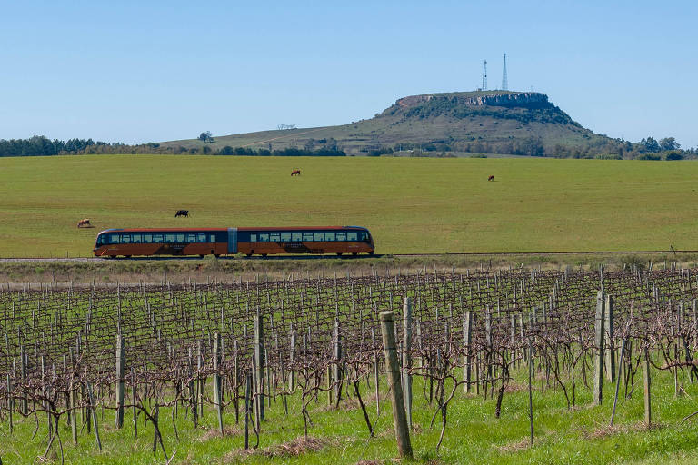 Trem do Pampa leva turista para vinícola