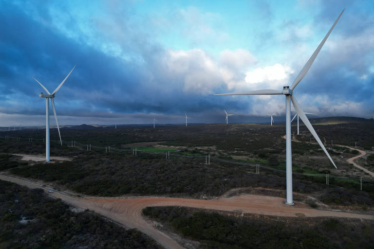 Estradas abertas e desmatamento em parque de energia eólica na região do Seridó paraibano
