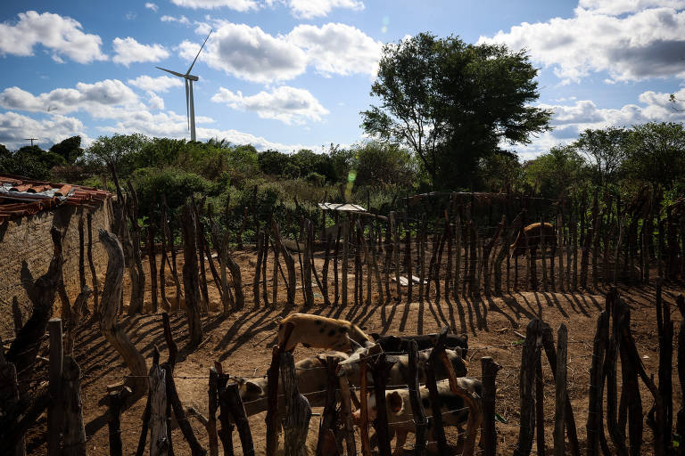Parque eólico em terreno próximo a Comunidade Sitio de Dentro em Lagoa Nova, no Rio Grande do Norte