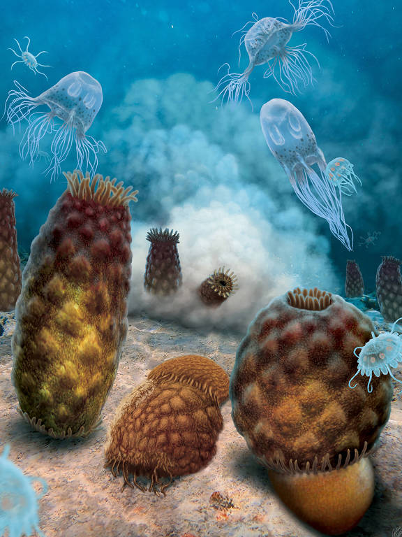 A imagem mostra um ambiente subaquático com várias formações de corais em tons de marrom e amarelo. No fundo, há água azul clara e algumas medusas flutuando. 