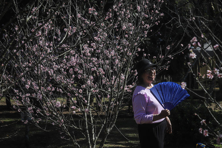 Parque do Carmo recebe 44ª edição da Festa das Cerejeiras