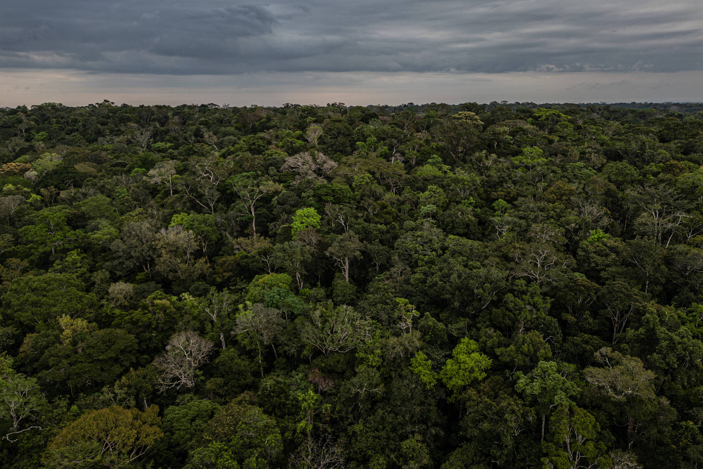 Rock in Rio e The Town vão levar show para o meio da floresta amazônica