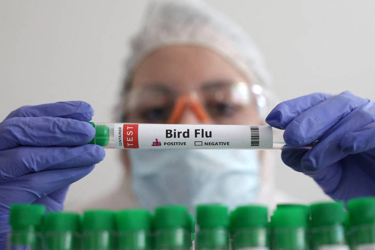 Uma pessoa segura um tubo de teste com o escrito "Gripe aviária" em inglês, ou "Bird flu"