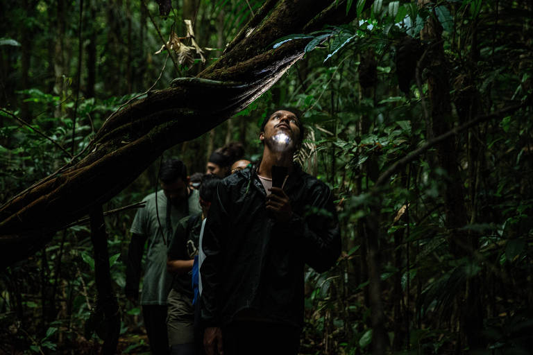 A imagem mostra um grupo de pessoas caminhando em uma floresta densa. Um dos indivíduos está olhando para cima, iluminando o rosto com uma lanterna. A vegetação é rica e verde, com árvores grandes e folhagens ao redor. Outros dois membros do grupo estão visíveis ao fundo, também observando a natureza.