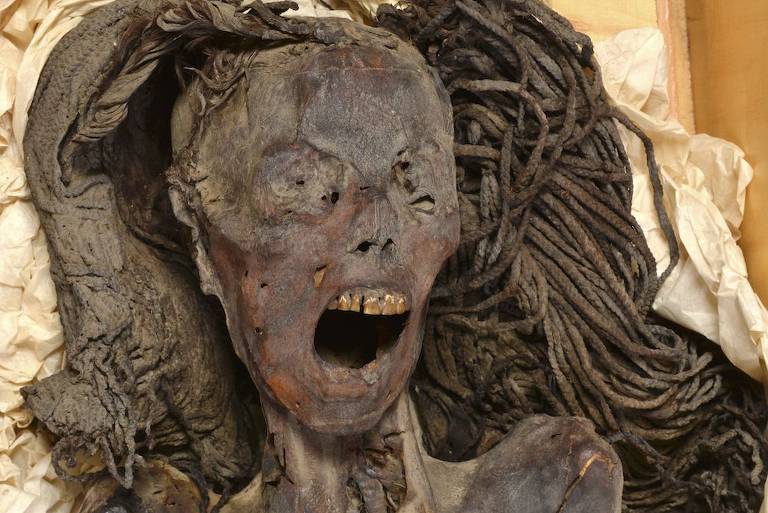 A imagem mostra uma múmia com uma expressão facial que parece estar gritando ou em agonia. A pele está desidratada e apresenta uma coloração escura, com os dentes expostos. O cabelo, que parece estar emaranhado, está visível ao redor da cabeça da múmia. O fundo é neutro, destacando a múmia em primeiro plano.