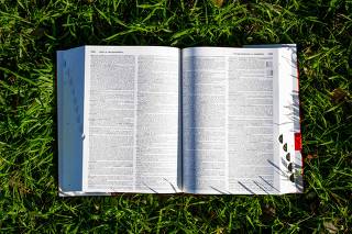 FL School District Pulls Merriam Dictionary Among Other Books, Citing DeSantis Signed Law