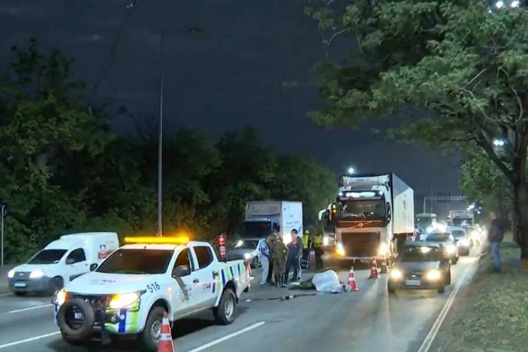 Carros parados, égua com lençol branco sobre o corpo