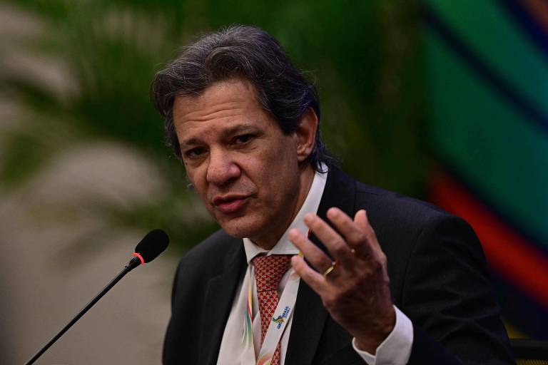 Fernando Haddad, um homem branco de meia idade, está falando em um microfone, gesticulando com a mão direita. Ele usa um terno escuro e uma gravata clara. Ao fundo, há uma decoração com plantas e um padrão colorido em verde e vermelho.