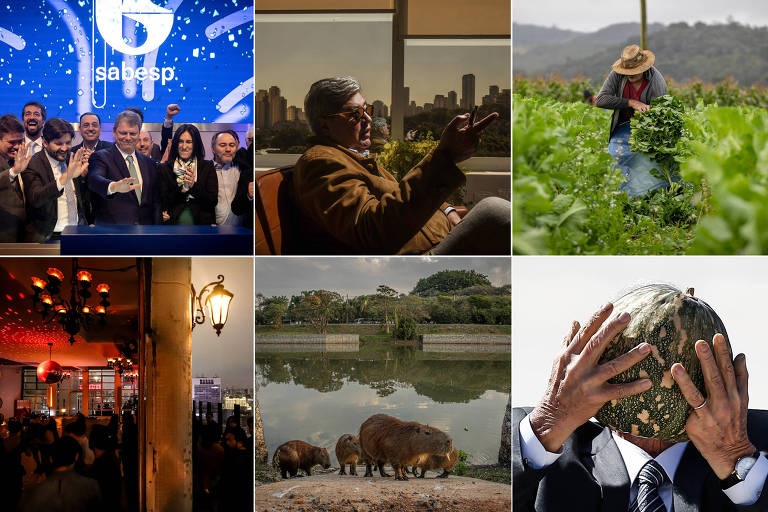 Montagem mostra seis fotografias da galeria, descritas em detalhe no resto da galeria.