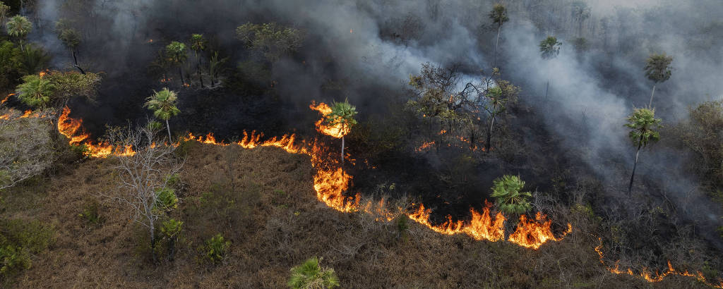 Área em chamas vista de cima, em foto feita com drone; há labaredas em algumas das árvores e uma fumaça densa está subindo para o céu