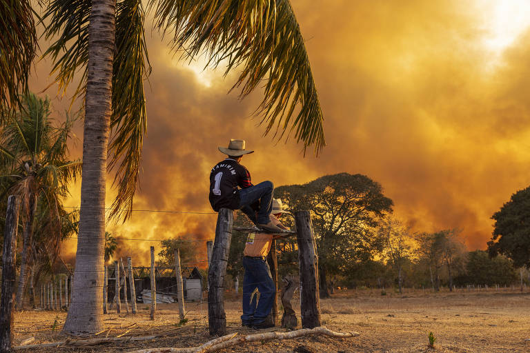 Veja o que aconteceu em agosto por meio das fotos da Folha