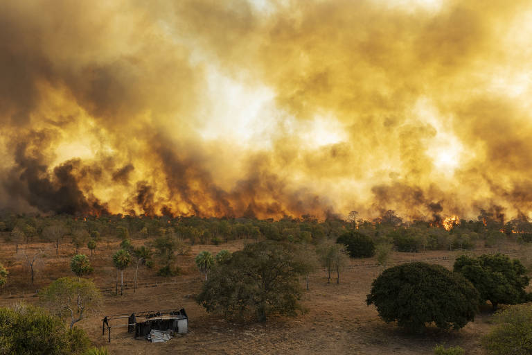Fogo volta a causar devastação em fazendas no pantanal em Mato Grosso do Sul