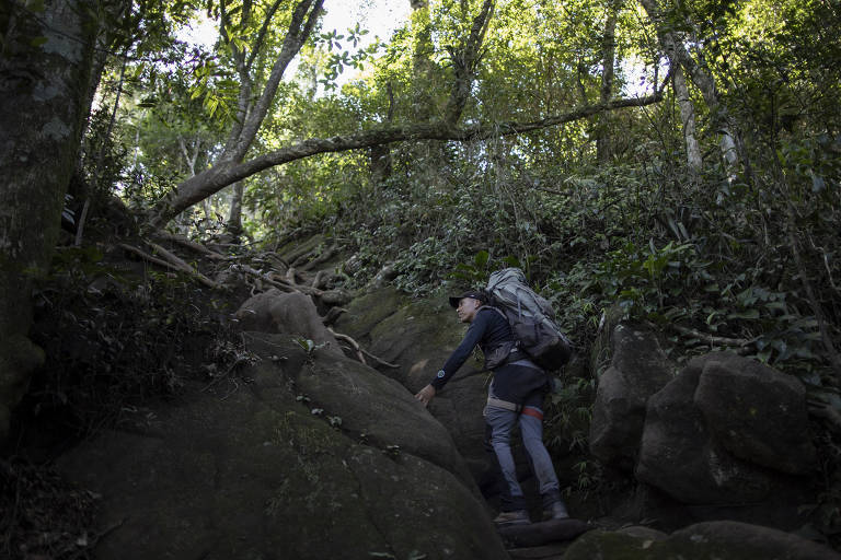 Um caminhante está subindo uma trilha em um ambiente natural. Ele usa uma mochila grande e veste roupas escuras. Ao fundo, há árvores e uma cerca, com um caminho de pedras à sua frente.