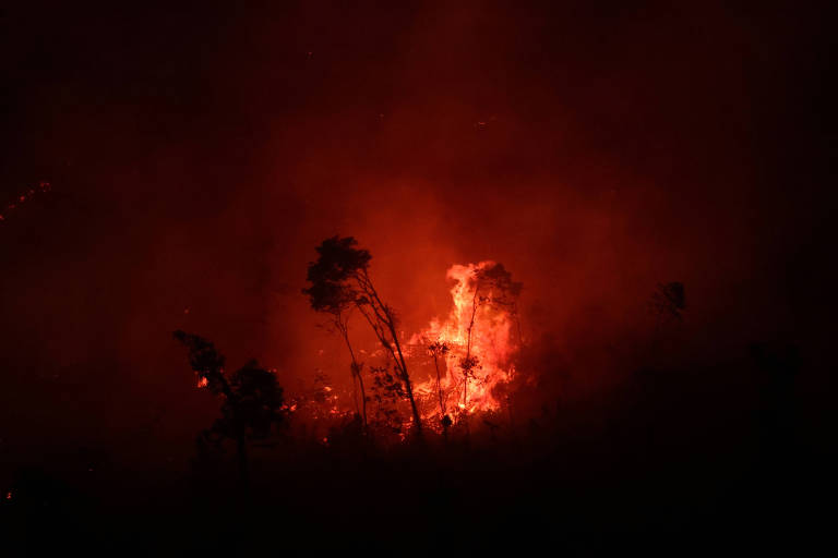 Fogo em árvores durante a noite; a chamas vermelhas iluminam a foto tirada na escuridão, mostrando o contorno do tronco e da copa de algumas árvores