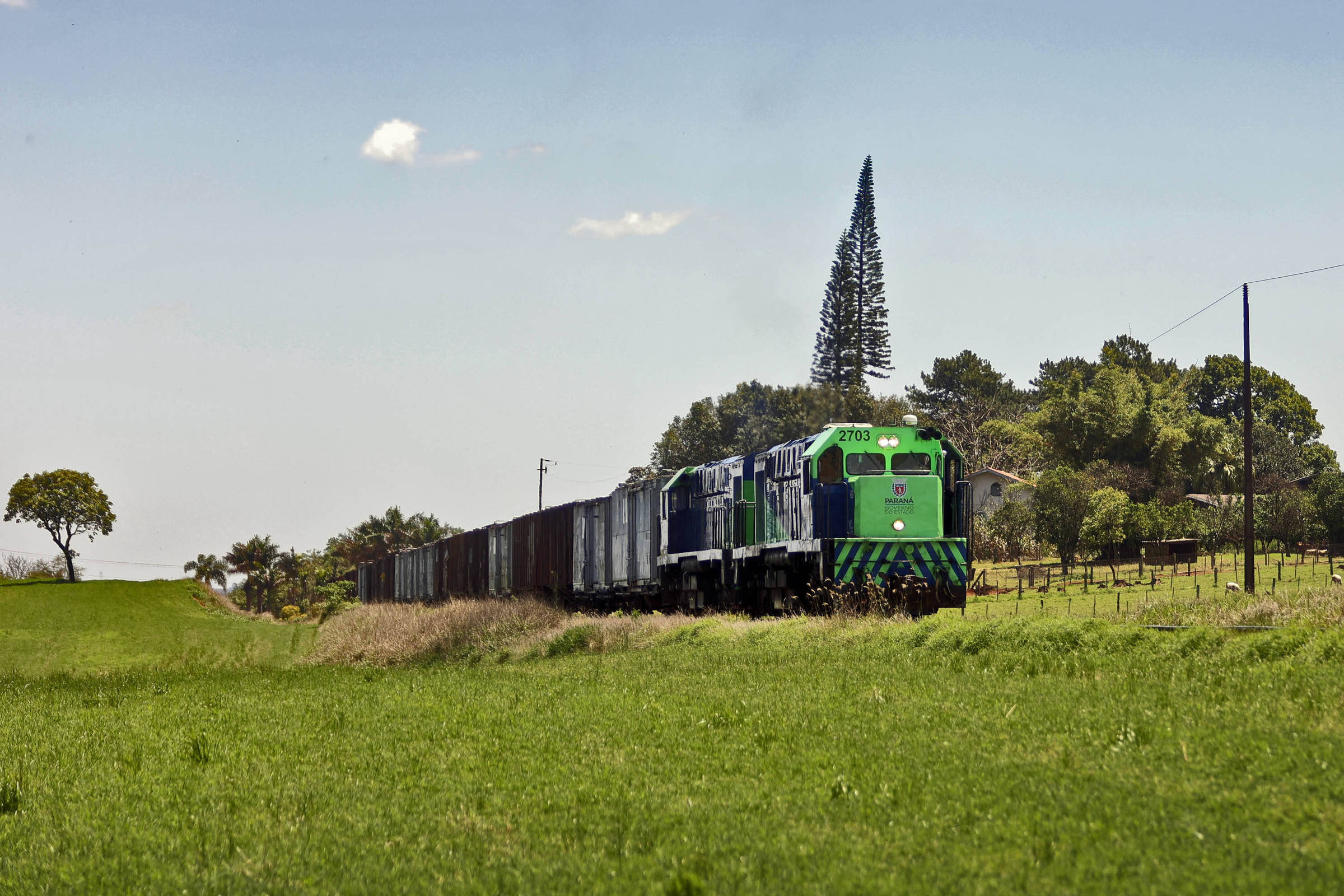 Painel: Governo Ratinho Junior pede regime de urgência em projeto que privatiza Ferroeste