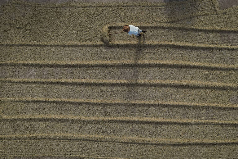 A imagem mostra uma vista aérea de um agricultor trabalhando em um campo. O solo está preparado em linhas retas e paralelas, indicando que está pronto para o plantio. O agricultor está posicionado no centro da imagem, utilizando uma ferramenta para cultivar a terra.