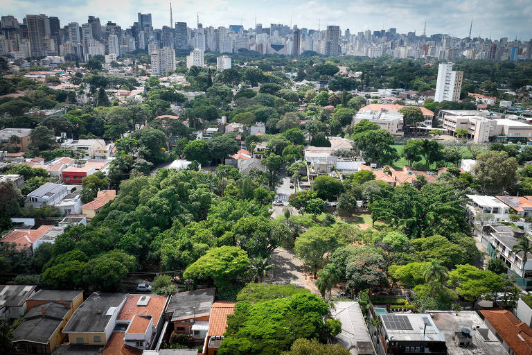 Imagem aérea mostra região arborizada à frente, com uma linha de prédios no horizonte