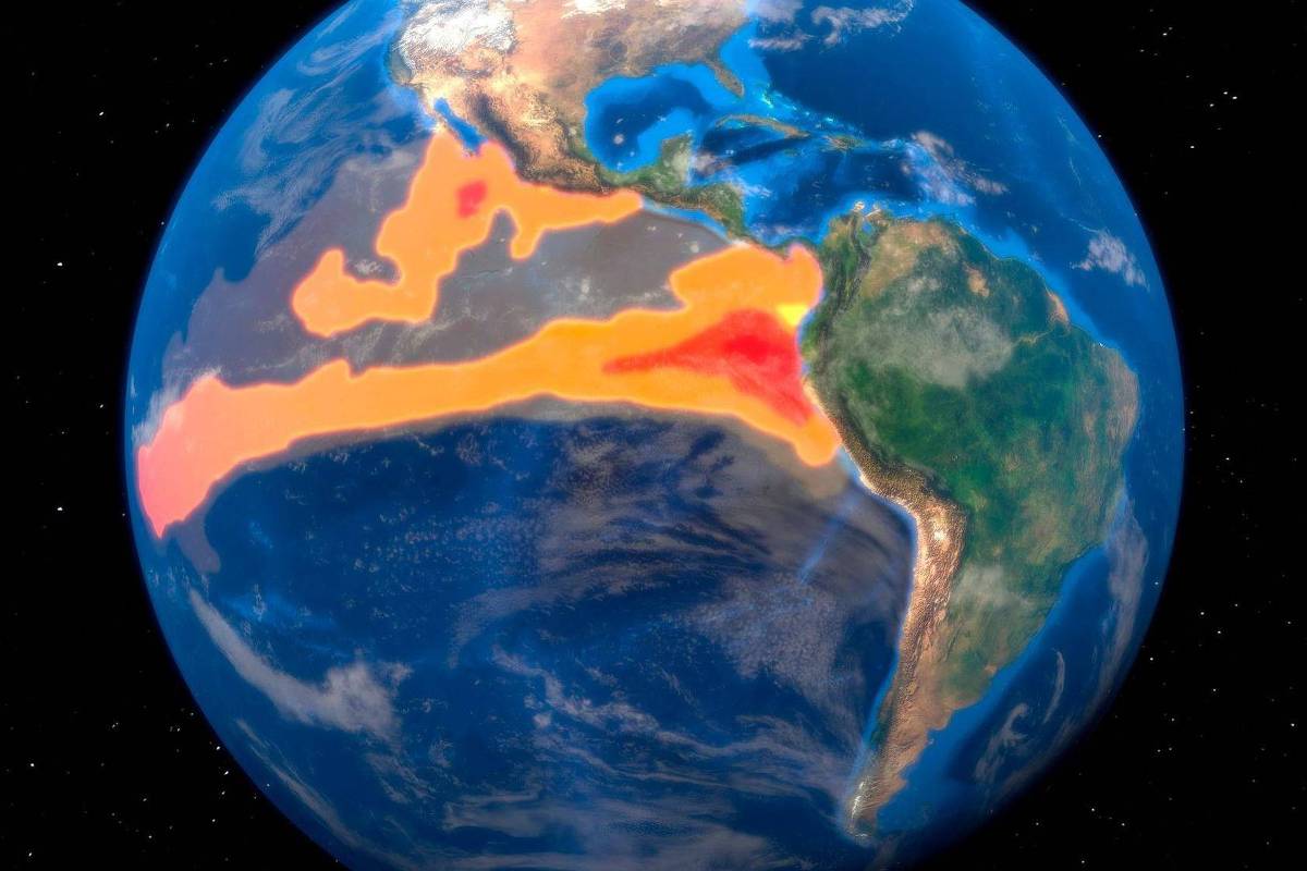 'Novo El Niño': o fenômeno no Pacífico que cientistas tratam como 'interruptor do clima'