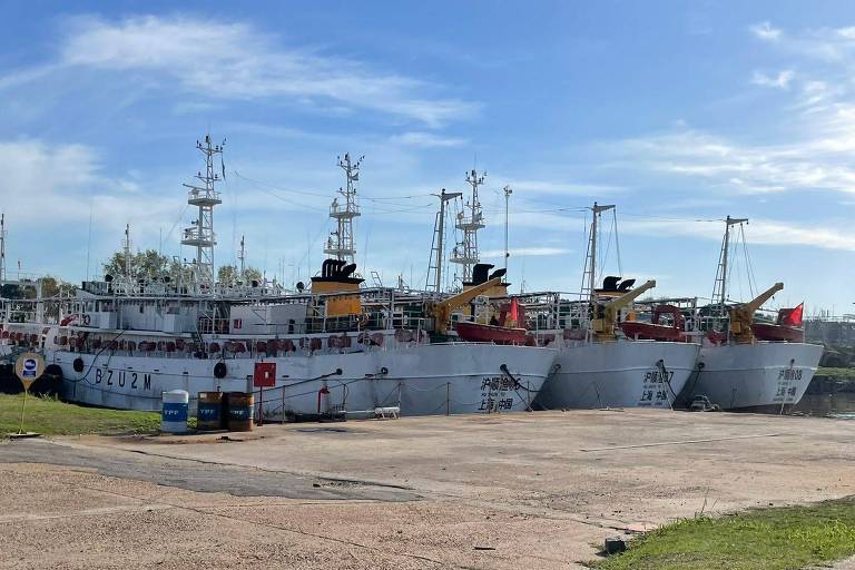 navios de pesca atracados em porto