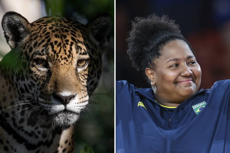 Montagem de uma onça e uma mulher negra, sorrindo