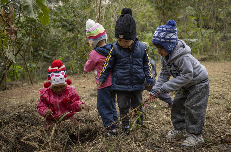 Crianças pequenas, com roupas de frio e gorros coloridos na cabeça, mexem em galhos em um jardim