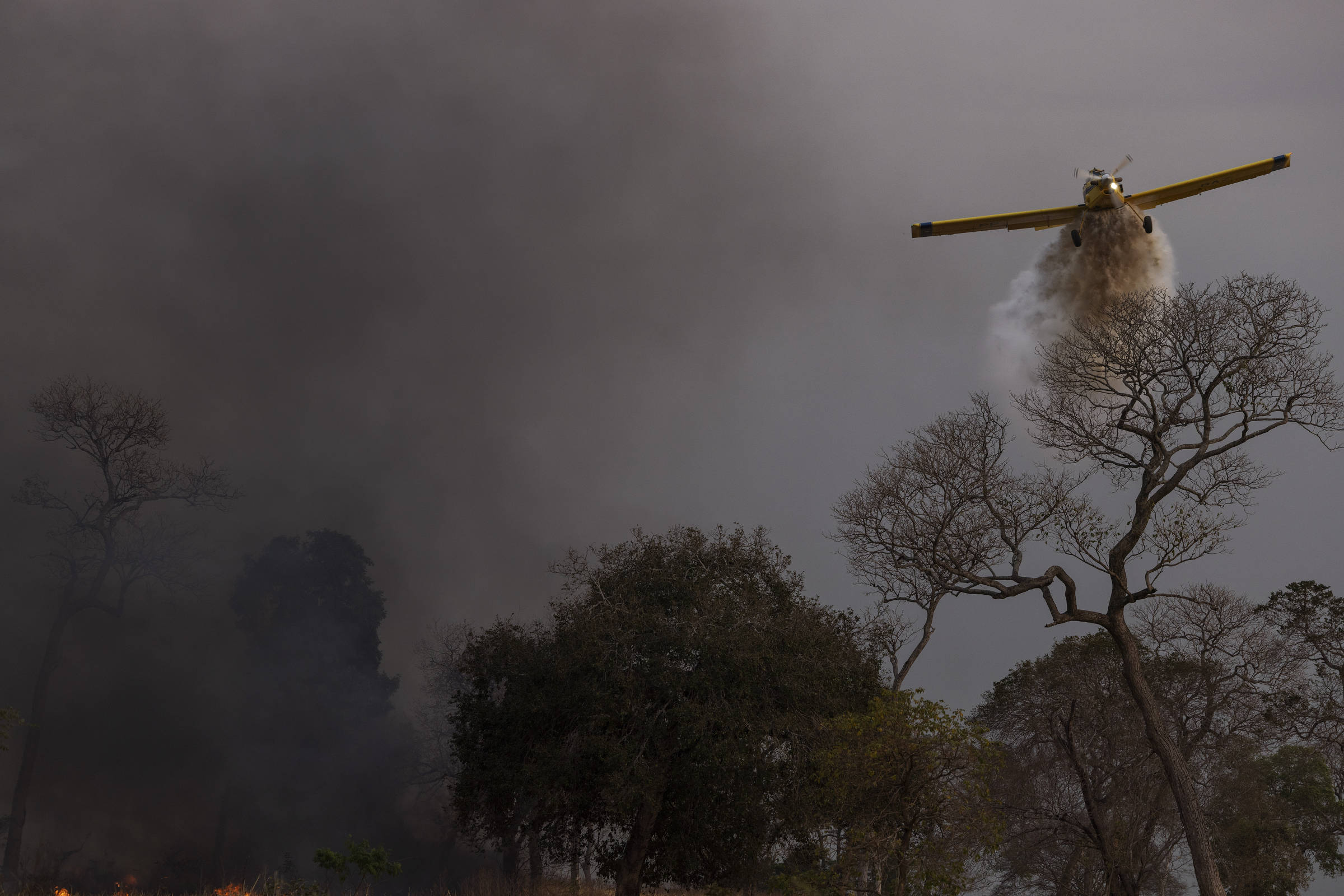 Incêndios florestais caem pela metade e reduzem risco de nova crise no governo
