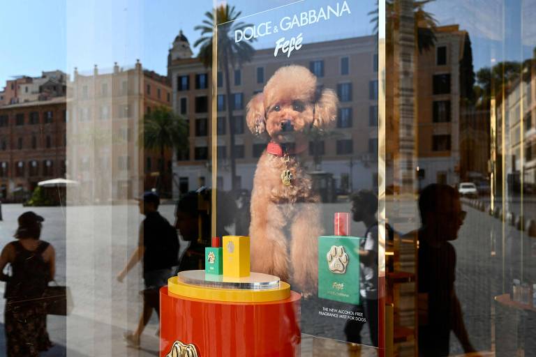 Perfume para cães é exposto em vitrine da Dolce&Gabbana 