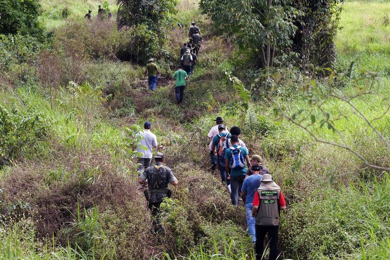 Pessoas caminham em uma mata baixa