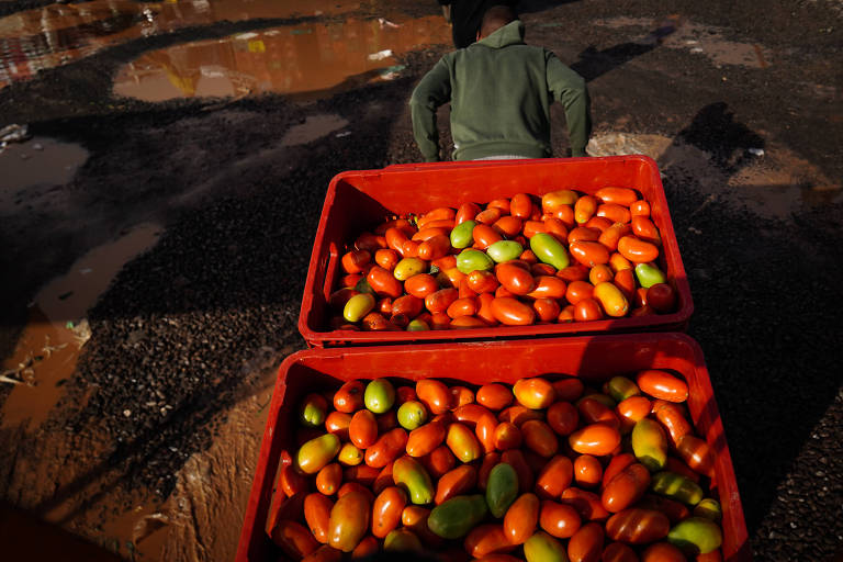 Caixas de tomate são movimentadas por homem em centro de distribuição de alimentos na Grande Porto Alegre