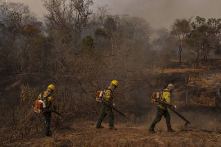 Brigadistas do Prevfogo combatem incêndio na região de Miranda, em MS