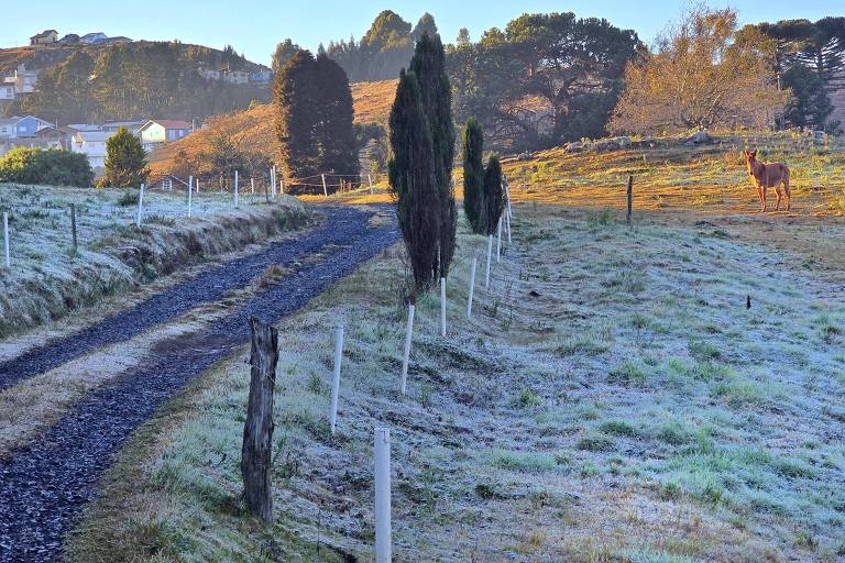 Na foto, um campo está coberto por uma camada muito fina de gelo