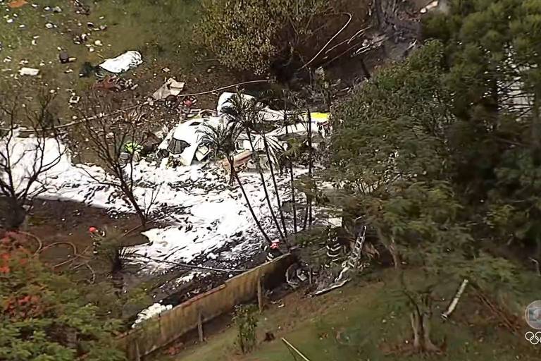 Partes do avião formam uma mancha branca em meio à area com vegetação 