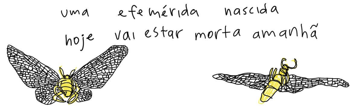 A tirinha de Estela May, publicada em 10/08/24, traz dois desenhos de um inseto vivo e morto. Acima das imagens, “uma efemérida nascida hoje vai estar morta amanhã”