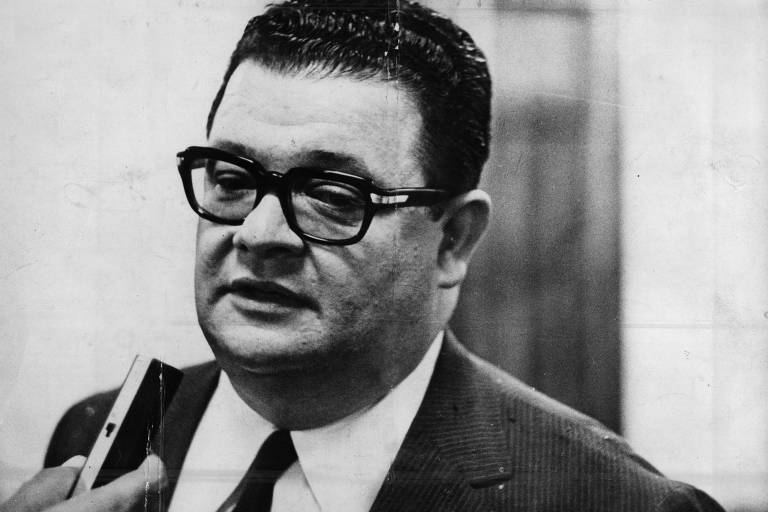 Formado, virou professor assistente e depois professor catedrático de economia brasileira da USP. Antes de entrar para a política, também foi vice-presidente da Ordem dos Economistas do Brasil e assessor da Associação Comercial de SP